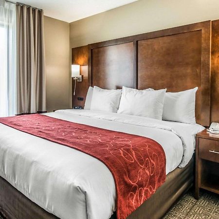 Comfort Suites Dunnellon Near Rainbow Springs Eksteriør bilde